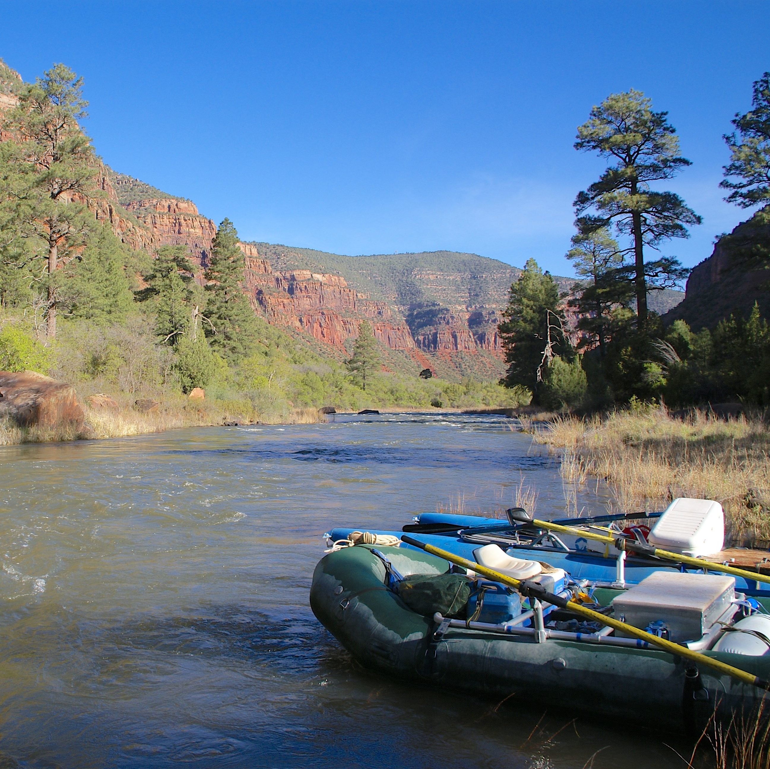 Snaggletooth DSC01594 E1531320904202