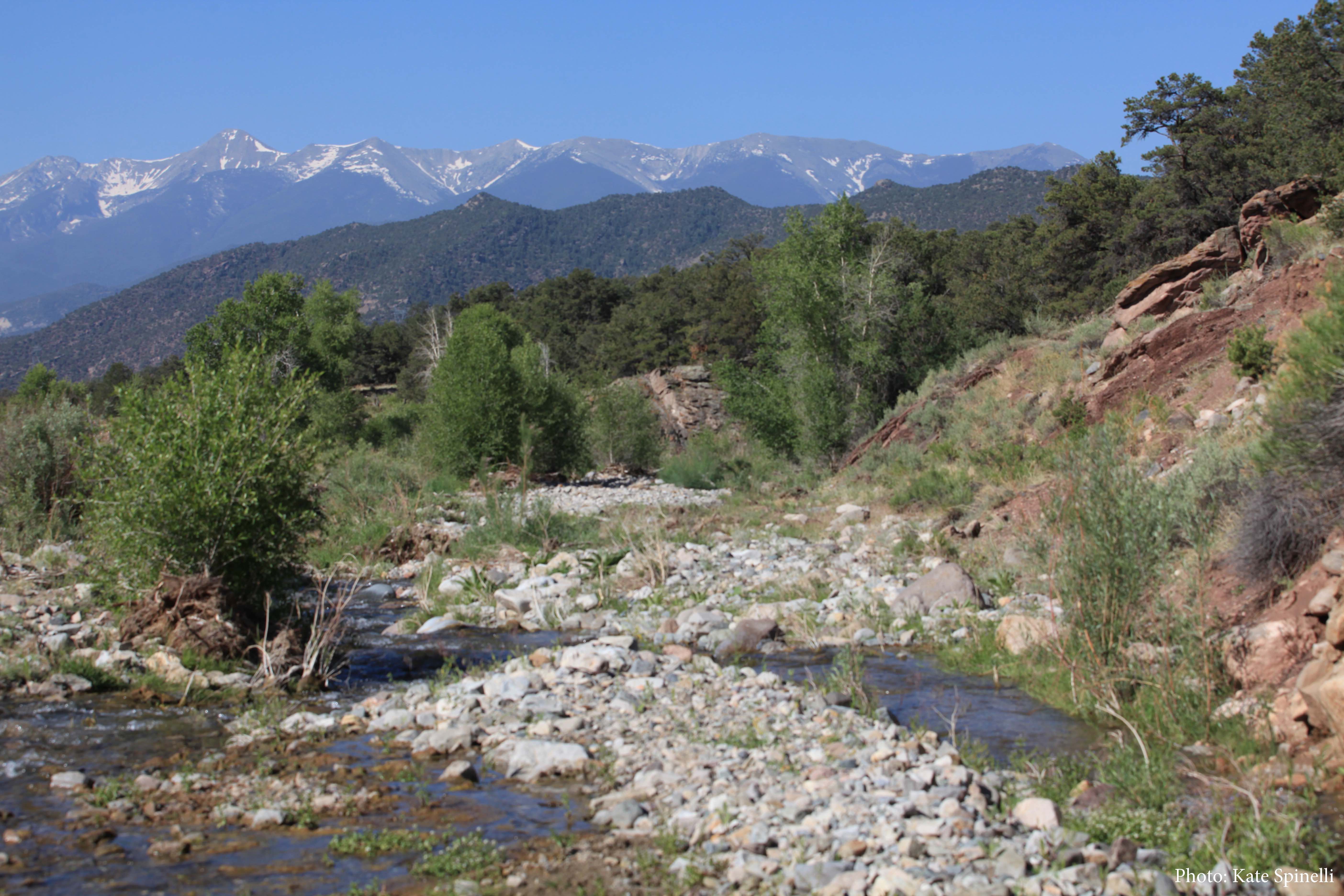Badger Creek Photo Kate Spinelli. 1MB