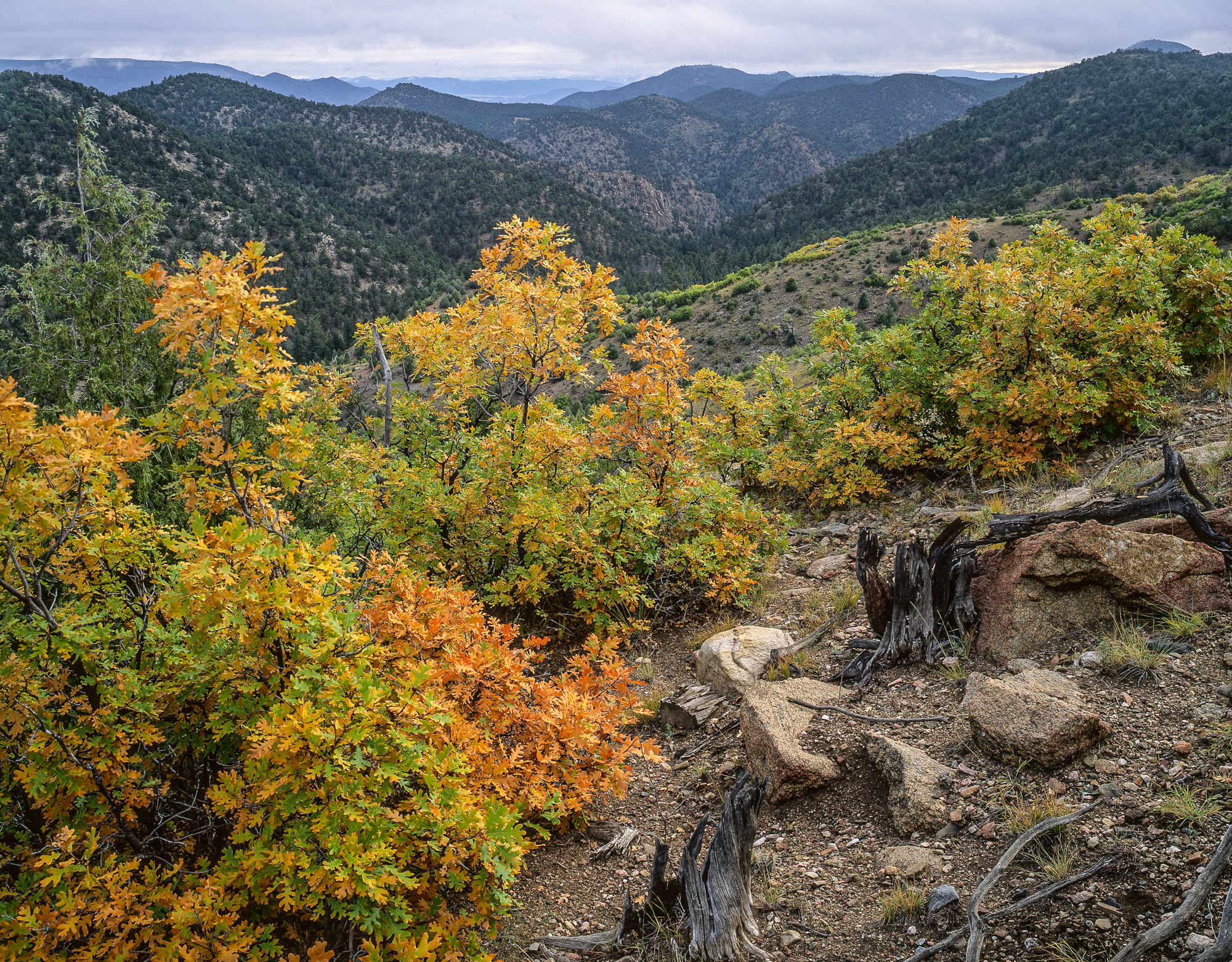 McIntyre Hills John Fielder 2