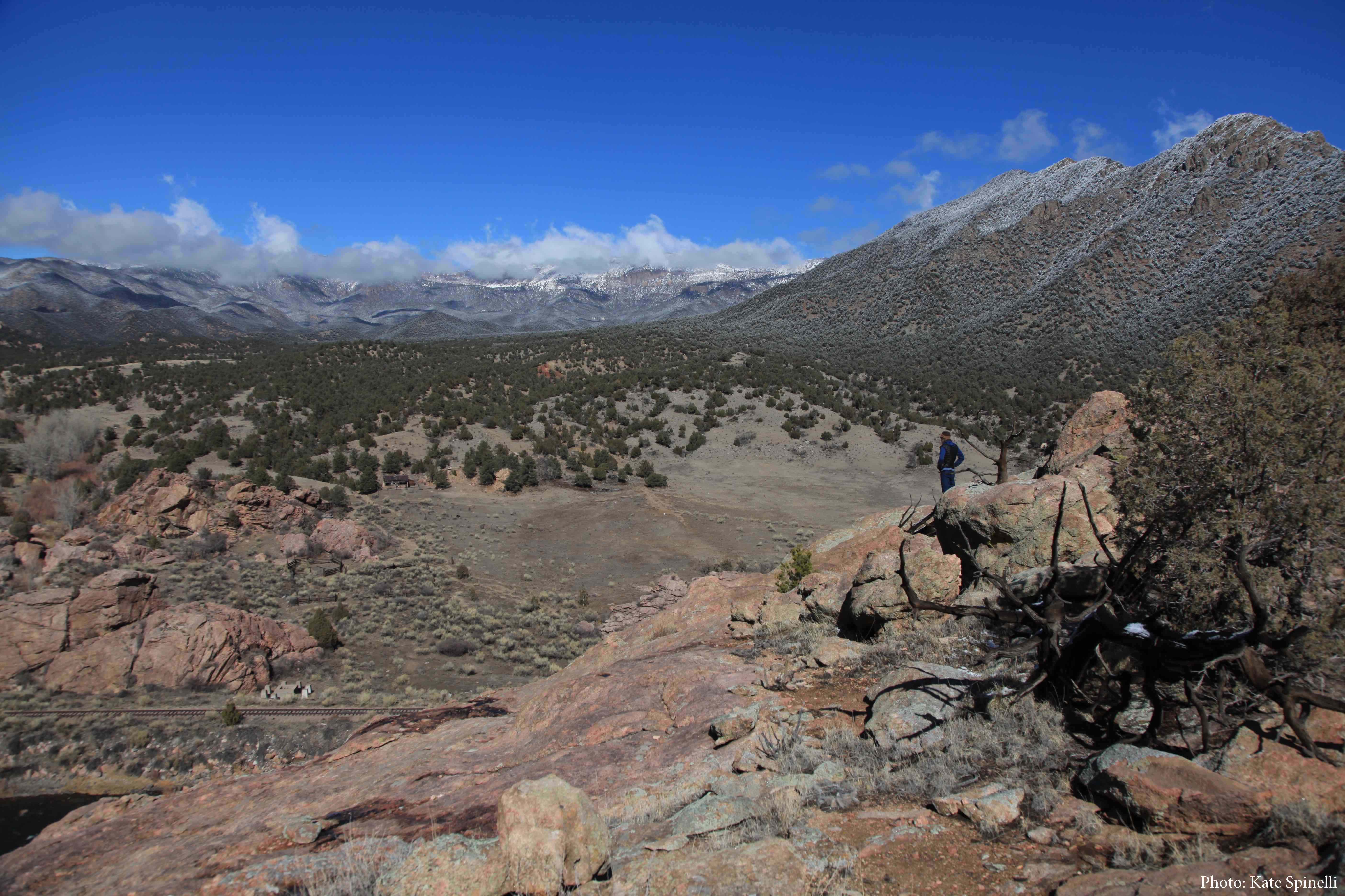 Table Mtn 20170216 Photo Kate Spinelli 1MB