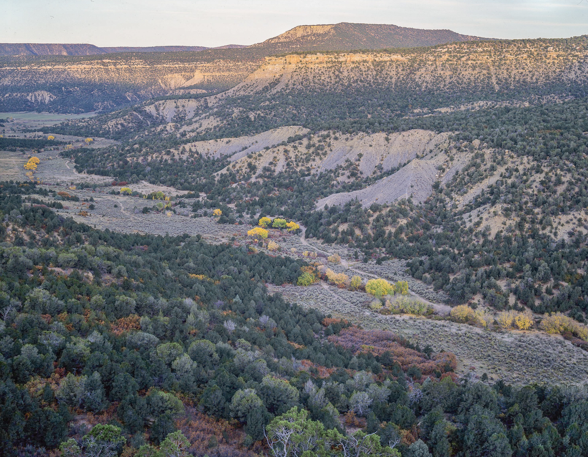 Weber Menefee John Fielder