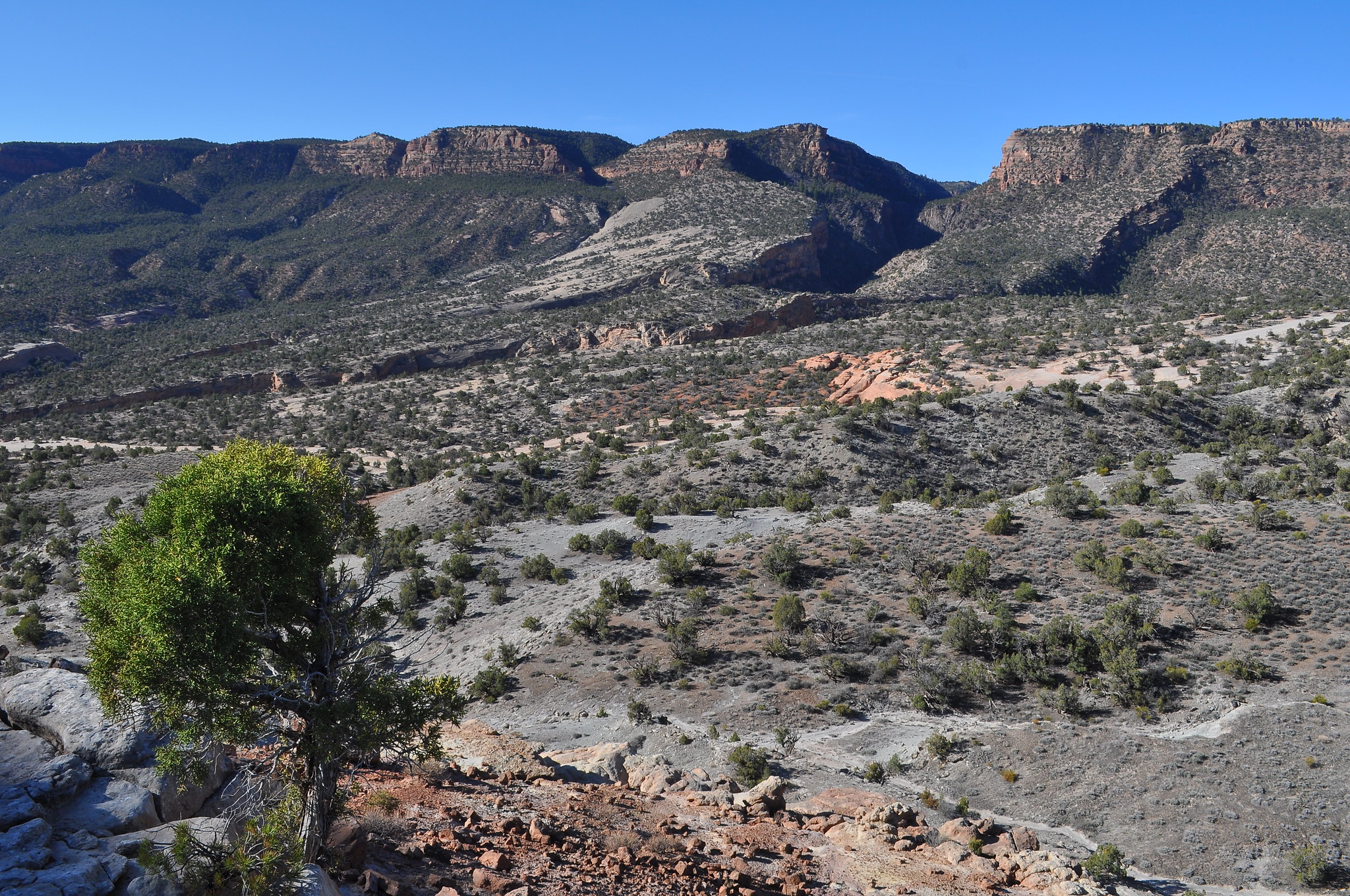 Bangs Canyon Scott Braden