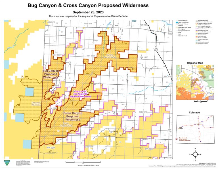 bug canyon & cross canyon proposed wilderness