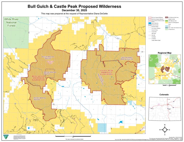 bull gulch & castle peak proposed wilderness